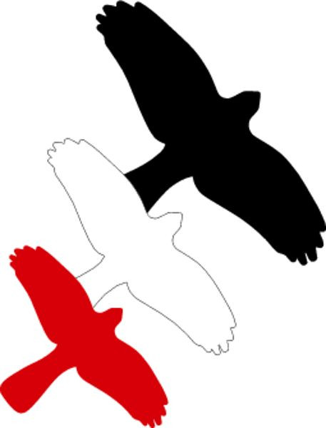 Schilder Klar Vogelschutz für Glasfassaden, 350x230 mm Folie selbstklebend, rot, 3201/30