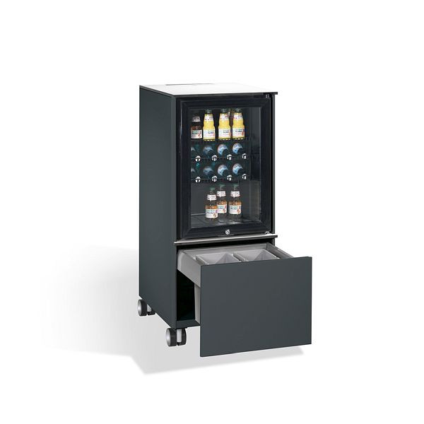 C+P Kühlschrank-Caddy Asisto, H1157xB500xT600mm, Farbe: Schwarzgrau, Griffleiste, 54780-010 S10017