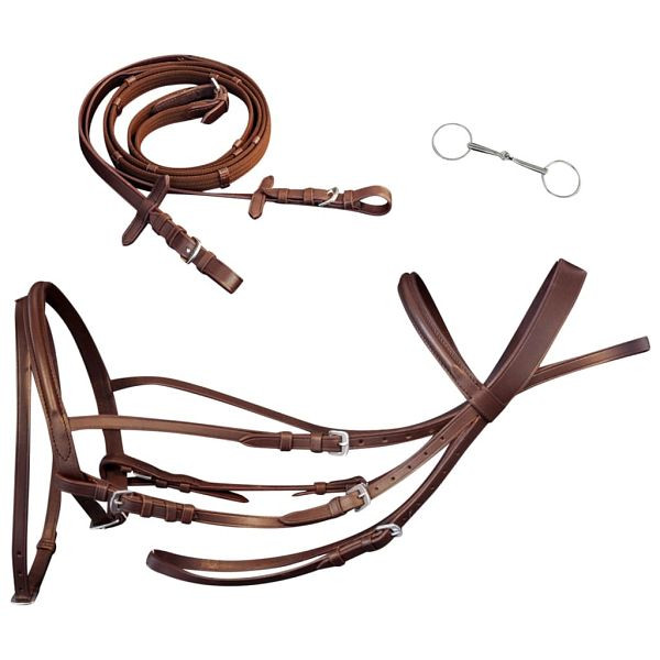 vidaXL Leder Trense Trensenzaum mit Zügeln und Gebiß braun Kolben, 90893