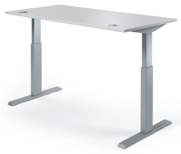 Deskin Höhenverstellbarer Schreibtisch BASIC MULTI M pro, Lichtgrau, 2000 x 800 x 715-1205 mm, 331901