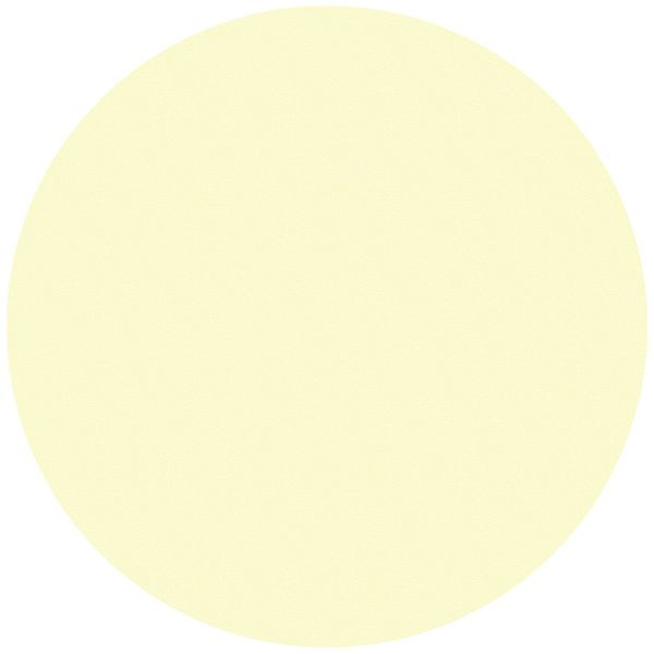 Moedel Bodenmarkierungspunkte, Folie, langnachleuchtend, 160-mcd, Ø 100 mm, VE: 10 Stück, 55022