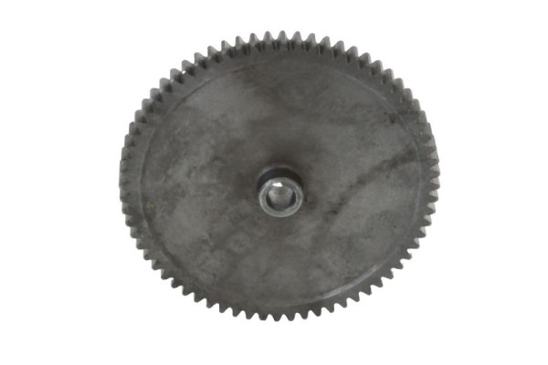 ELMAG Zahnrad (STAHL), 9802220, 9000098022206