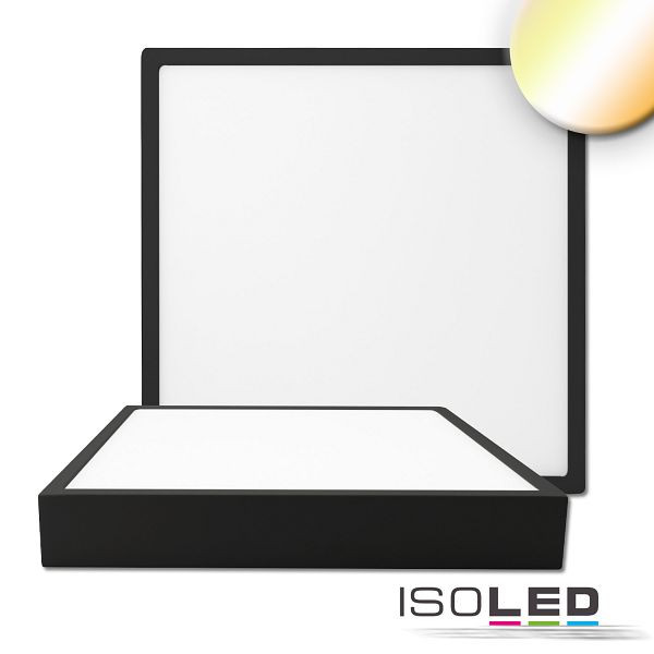 ISOLED LED Deckenleuchte PRO schwarz, 30W, eckig, 300x300mm, ColorSwitch 2700/3000/4000K, dimmbar, 114913