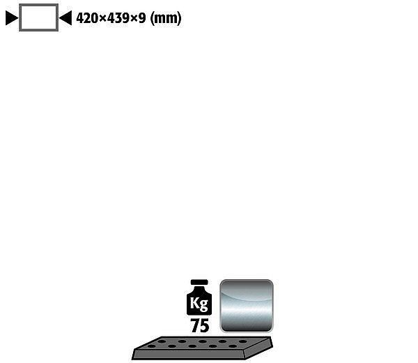 asecos Lochblecheinsatz Standard für Modell(e): UB90, UB30 mit Breite 590/1100 mm, 9975