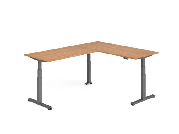 Hammerbacher Sitz-Steh-Winkeltisch 240x180cm Nussbaum/Graphit, VXDSMW1916/N/G