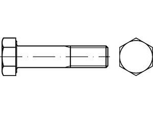 Sechskantschrauben DIN 7990 Mu 5.6 / CE U M 16 x 55 feuerverzinkt VE=S (50 Stück)