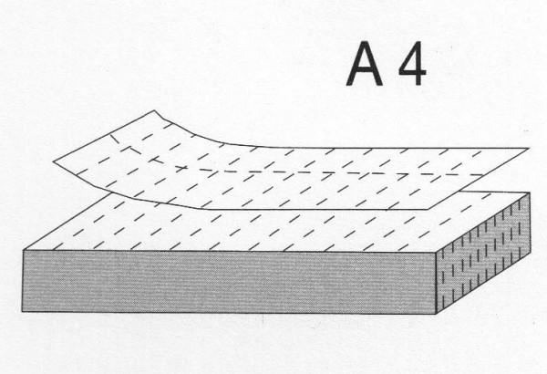 Stemo Etiketten 30x60mm VE/1000, A4, perforiert, 3x10 Stück je Blatt, 500505