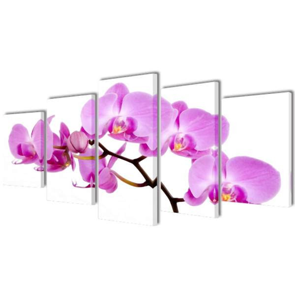 vidaXL Bilder Dekoration Set Orchidee 100 x 50 cm, 241570