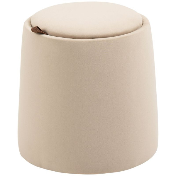 HOMCOM 2-in-1 Hocker in Samtoptik inklusive Stauraum und abnehmbaren Deckel Φ44 cm x 47,5 cm, 838-270V00BG