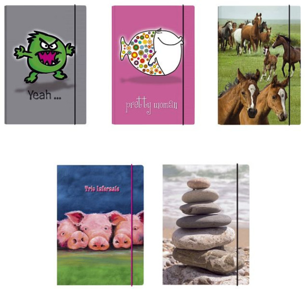 VENCEREMOS Gummizugmappe - A3, 5 Motive sortiert, VE: 10 Stück, 35122