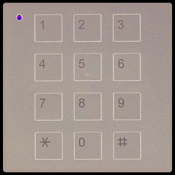 TCS Codeschlossmodul Serie AMI, schwarz, AMI11200-0057
