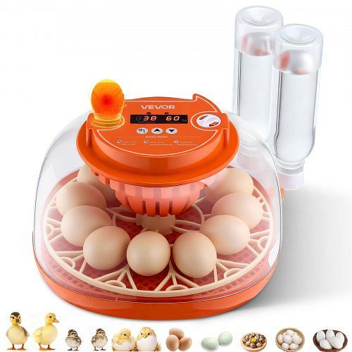 VEVOR Brutautomat für 12 Eier, Vollautomatisch mit Eierwender, Temperatur- & Feuchtigkeitsregelung, für Küken, Enten, Gänse, JQFHQEKXX12DHUU86001V2