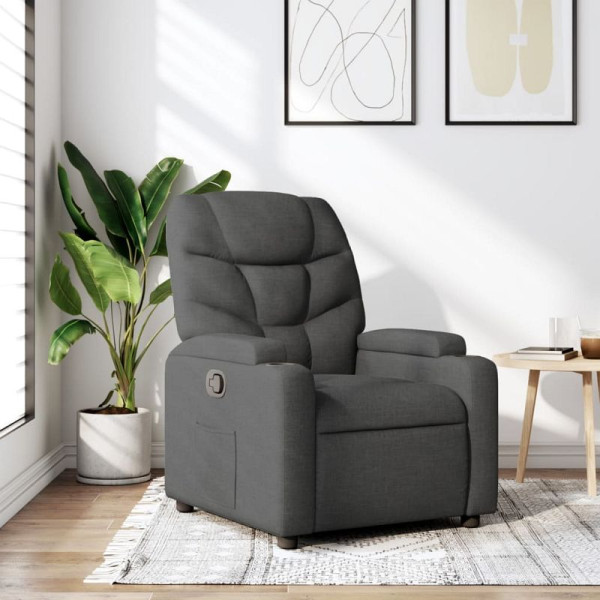 vidaXL Relaxsessel Dunkelgrau Stoff, 3205609, 8721012180970