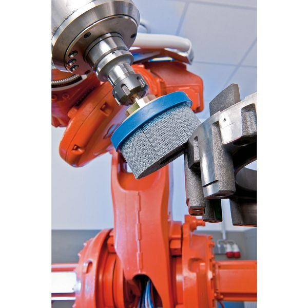 Pferd Tellerbürste, ungezopft DBUR 125/22,2 SiC 120 1,10, 79184136