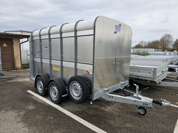 Ifor Williams Pferdeanhänger TA510 mit Standard Rampe und großer Quertrennung, Maße: 1780 x 3110 x 1820 mm, SW041912