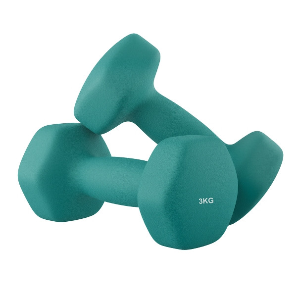 SONGMICS Hantel, Türkis, 20x9x8,5 cm, SYL906Q01, 0194343174822