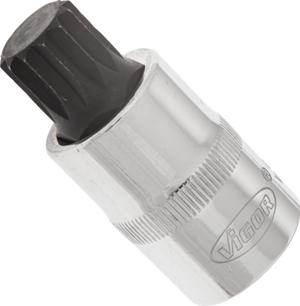 VIGOR Innenvielzahn Schraubendreher-Einsatz (XZN), Vierkant hohl 12,5 mm (1/2 Zoll), Innen Vielzahn Profil XZN, M16, V2100