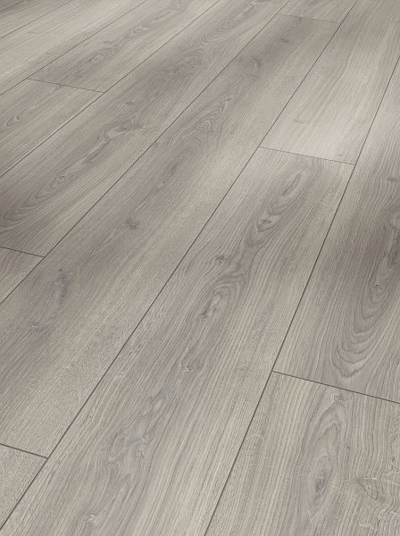 Parador Laminat Trendtime 6 Eiche Studioline lichtgrau Naturmattstruktur 4-seitige V-Fuge, VE: 5 Stück, 1744707