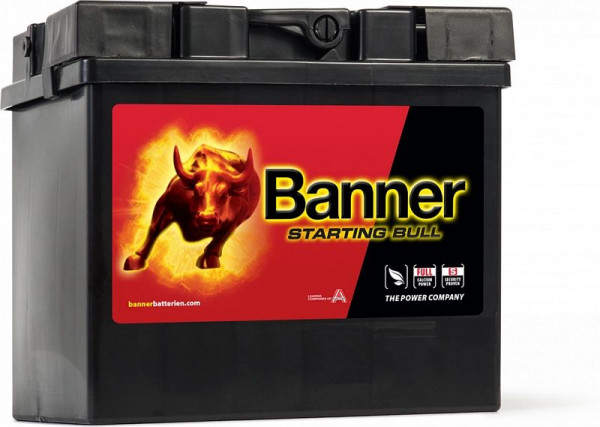 Banner Starting Bull 530 30 PKW Batterie in Erstausrüsterqualität, 010530300101