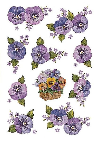 HERMA 3818 Sticker DECOR Stiefmütterchenköpfe, VE: 10 Stück, 3818, 4008705038188