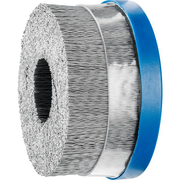 Pferd Tellerbürste, ungezopft DBUR 100/22,2 SiC 320 0,55, 79184131