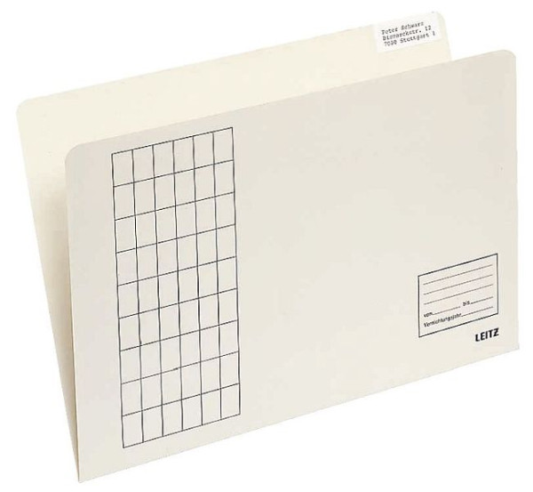 LEITZ 2433 Einstellmappe einfach, vertikal, Gitterdruck, Kraftkarton, chamois, 2433-00-11