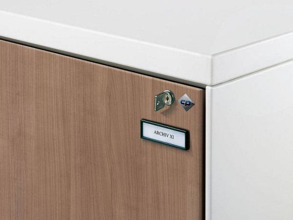 C+P Kunststoff-Etikettenrahmen, selbstklebend, H26xB76xT4 mm, 6103-13