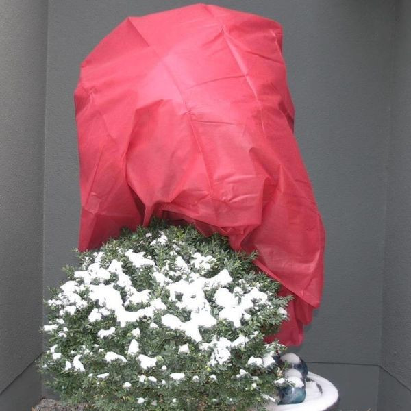 NOOR Wintervlies 34g/m² 1,6 x 5m rot, 01115010WIRO