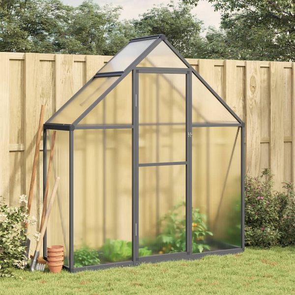 vidaXL Gewächshaus mit Fundamentrahmen Anthrazit 169x58x195 cm Alu, 4005818