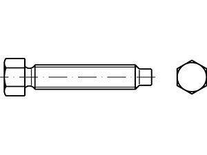 Sechskantschrauben DIN 561 22H / 8.8 AM 24 x 100 VE=S