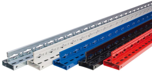 Schulte MULTIplus T-Profil 2500 mm RAL 3000 feuerrot, Front gelocht, 35225-R