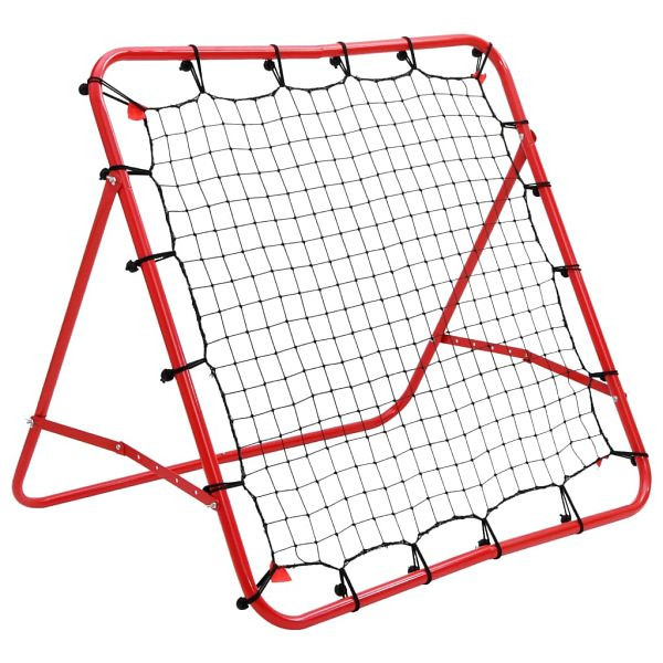 vidaXL Fußballtornetz Einstellbar 100 x 100 cm, 90685