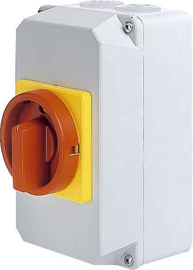 Elektra Tailfingen Reparatur-Not-Aus-Schalter D4 33/HS-B15/6-D-MRG, 34990190