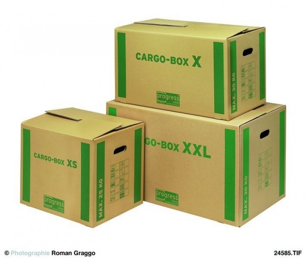 Progress Packaging PC CB01.01 010 Cargobox XS Umzugskarton aus stabiler Wellpappe braun mit Griffausstanzung, in Folie, VE: 10 Stück, 700667