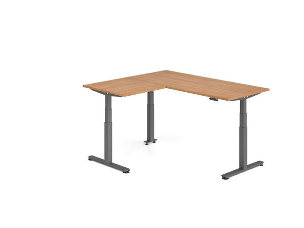 Hammerbacher Sitz-Steh-Winkeltisch 160x180cm Nussbaum/Graphit, VXDSMW1908/N/G