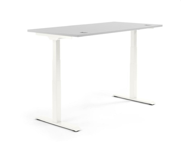 Deskin Höhenverstellbarer Schreibtisch FLEX MODUL, Lichtgrau, 1600 x 800 x 605-1255 mm, Gestell: Weiß, 347856