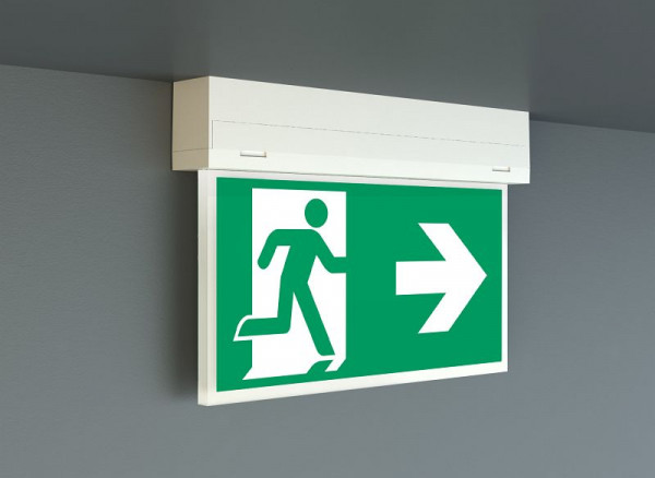 RP-Technik Kunststoff Rettungszeichenleuchte Universal, Einzelbatterie + Selbsttestfunktion, 3h, inkl. Piktoset 4,6 W Schutzart 54, KSU013SC