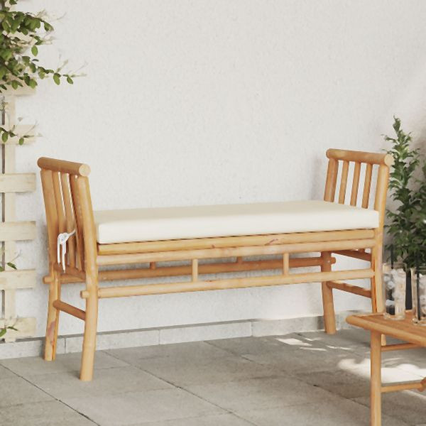 bambus fargesia 150 cm Gartenbambus – Fargesia Jiuzhaigou 'Honey Guide®' – Blupf by Kitzinger