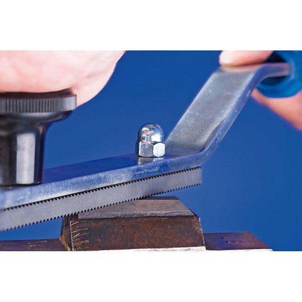 Pferd Gefrästes Feilblatt 296 350 Z2, VE: 5 Stück, 13201352