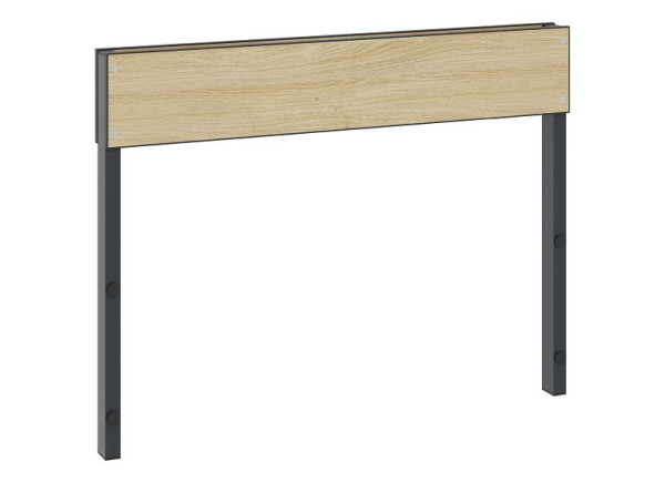 C+P Rückenlehne 1-seitig, Feuchtraum, H796xB1000 mm, Schwarzgrau/HPL Eiche, 8060-732 S10011