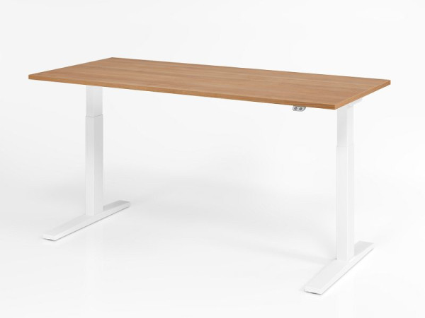 Hammerbacher Schreibtisch XMKA19, 180 x 80 cm, Platte: Nussbaum, 25 mm dick, ABS-Dickkante, Rechteckform, Weiß, VXMKA19/N/W