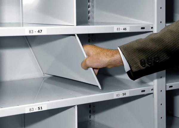 Schulte Stecktrennblech, 300 x 490 mm (T x H), RAL 7035 lichtgrau für MULTIplus150-Fachböden, 32363-25