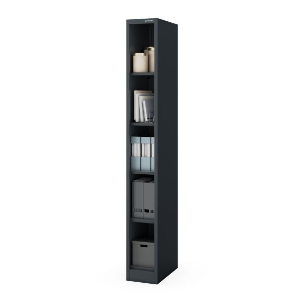 Jan Nowak Schmales Metall-Archivregal für Dokumente, Anthrazit, 250x1950x450 mm, TIM, 2481