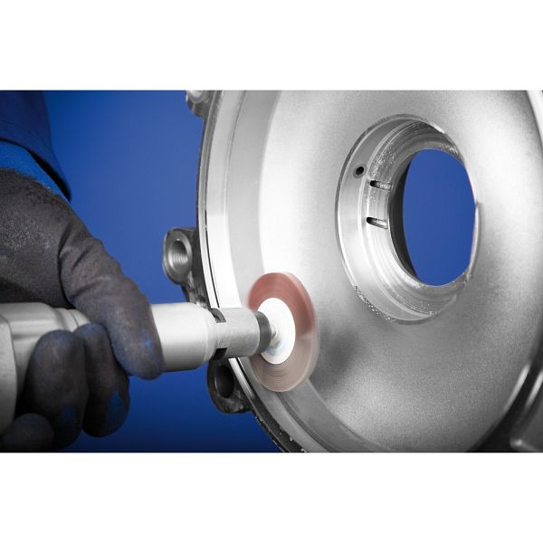 Pferd Fächerschleifer F 5010/6 A 320, VE: 10 Stück, 44505326