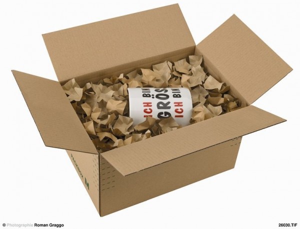 Progress Packaging PL DFL181.400_01 Dekofüllstoff weiß 180g - VE: 6 Säcke à 400 Liter in PE Sack - 8,1 kg Füllstoff, 003040