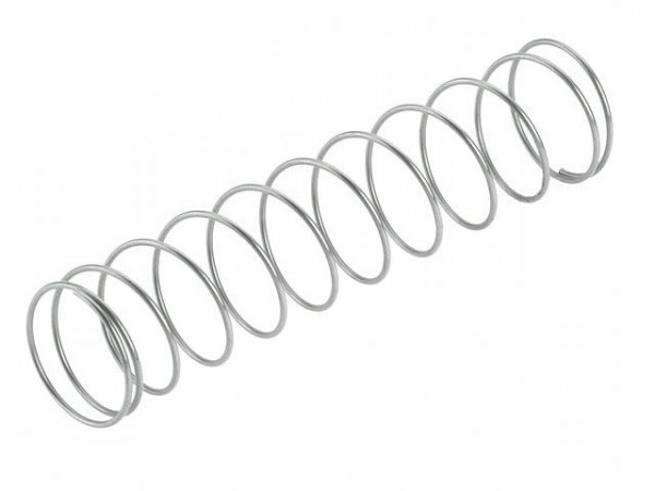 BENDER Feder Edelstahl Typ1250 DN 15, 1250150