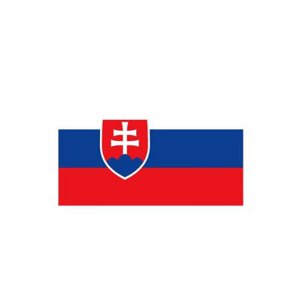 Stein HGS Länderflagge Slowakei, 100 x 150 cm (Querformat), mit Seil und Schlaufe, FlagTop 110 g/m², für Fahnenmasten 6 m, ohne Hohlsaum, 27652