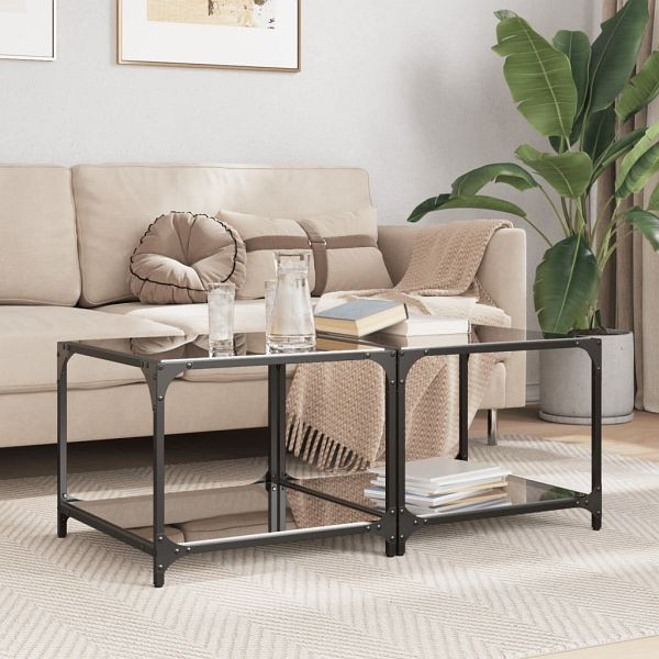 vidaXL Couchtische mit Glasplatte 2 Stück Schwarz 50x50x40 cm Stahl, 845973
