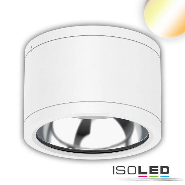 ISOLED LED Deckenaufbaustrahler IP65, weiß, 25W, ColorSwitch 3000/4000/5000K, dimmbar, 115594