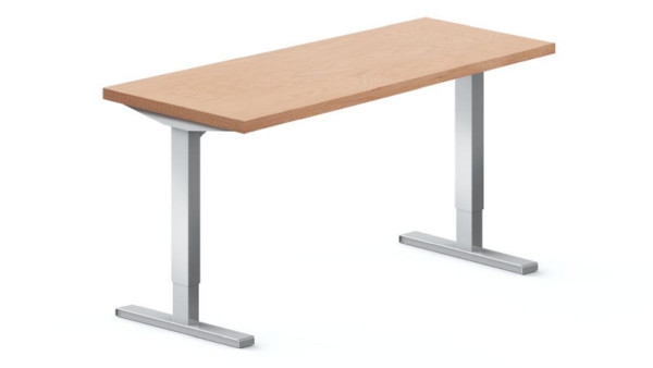 Deskin elektrisch höhenverstellbare Werkbank WS Profi, Buche-Massiv-Arbeitsplatte, 2000 x 700 mm, mit 2 Hubsäulen, Plattenstärke 40 mm, 295401